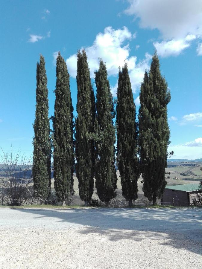 Country House Martina Castelnuovo Berardenga Exteriér fotografie